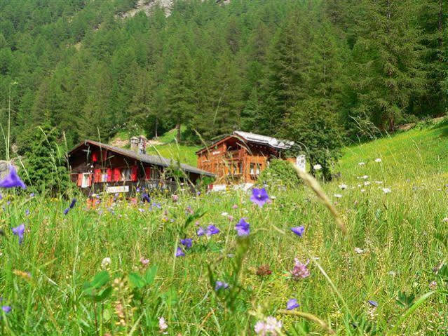 Haus Alpenperle Apartman Saas-Almagell Kültér fotó